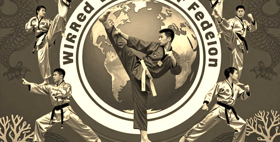 The Wrong Framework: Why Vietnam's Martial Arts Media Is Misreading Its Own Sport