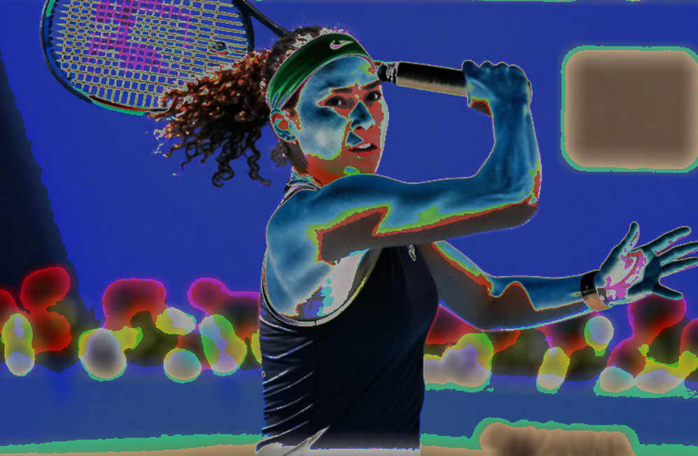 Mười lăm lần thua trắng và tấm vé đặc cách: Venus Williams trở lại châu Á, nhưng không phải để vô địch